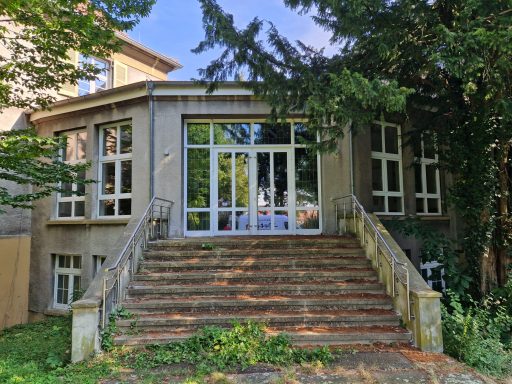 Edelstahlhandlauf für Portaltreppe